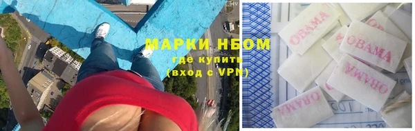 трава Лабытнанги