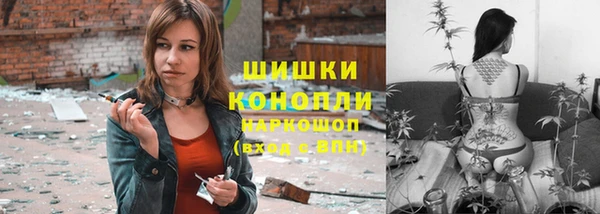 трава Лабытнанги